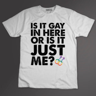 Is het homo hierbinnen of is het gewoon mij LGBT P T-shirt