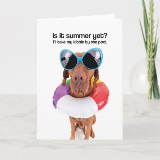 Is het nog de Zomer? (Vizsla) - Wenskaart Kaart (Voorkant)