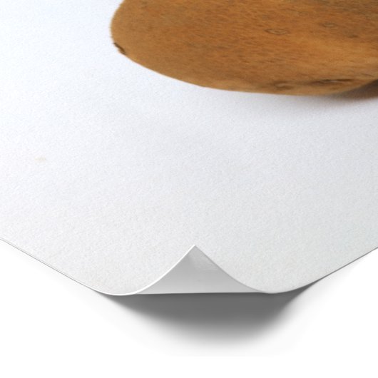 Is het Poster van aardappelen (Hoek)