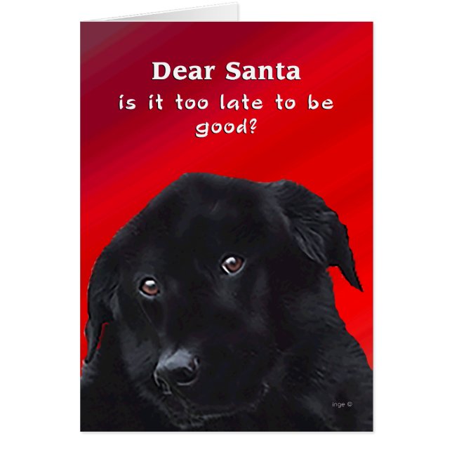 Is het te laat om goed te zijn? Beste Santa Labrad (Voorkant)