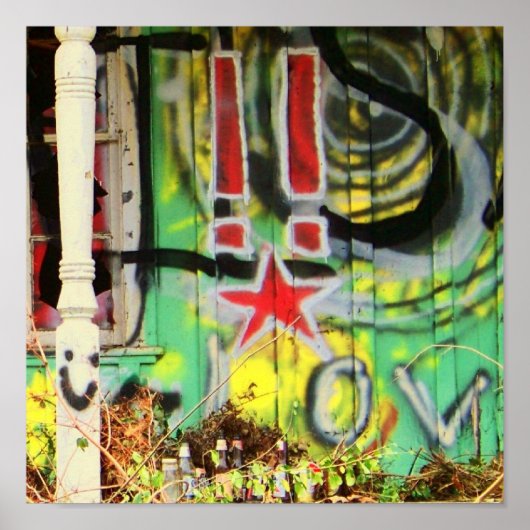 is het te veel grafitti ? poster (Voorkant)