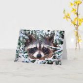 "Is het Veilig uit te komen? " Kaart (Gele Bloem)