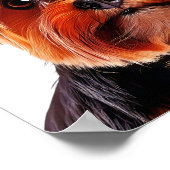 Is hij achter me? poster (Hoek)