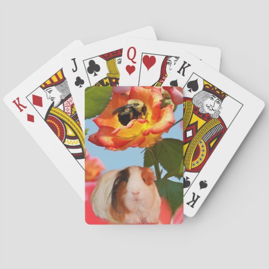 Is hij al weg? Guinese varkens die zich verbergen  Speelkaarten (Achterkant)