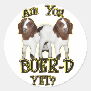 IS JIJ NOG BOER? BOER GOATS RONDE STICKER