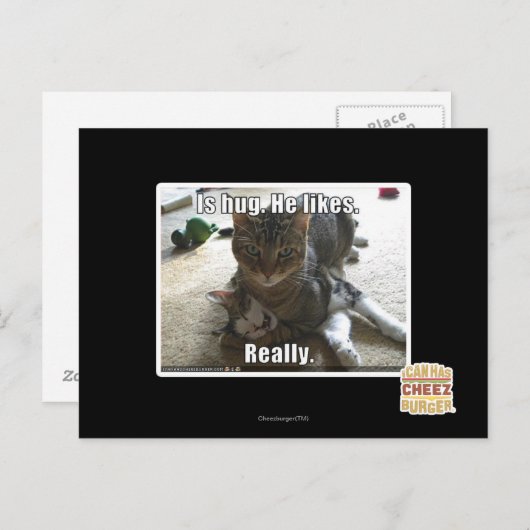 Is knuffel. Hij houdt van. Briefkaart (Voorkant / Achterkant)