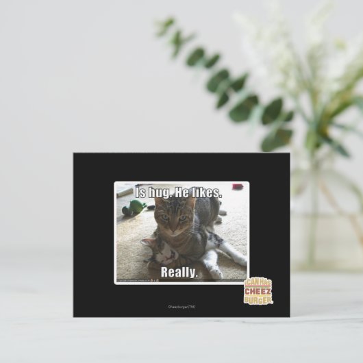 Is knuffel. Hij houdt van. Briefkaart (Staand voorkant)