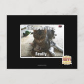 Is knuffel. Hij houdt van. Briefkaart (Voorkant)