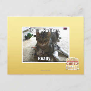 Is knuffel. Hij houdt van. Briefkaart