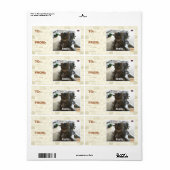 Is knuffel. Hij houdt van. Etiket (Full Sheet)