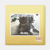 Is knuffel. Hij houdt van. Magneet (Voorkant)