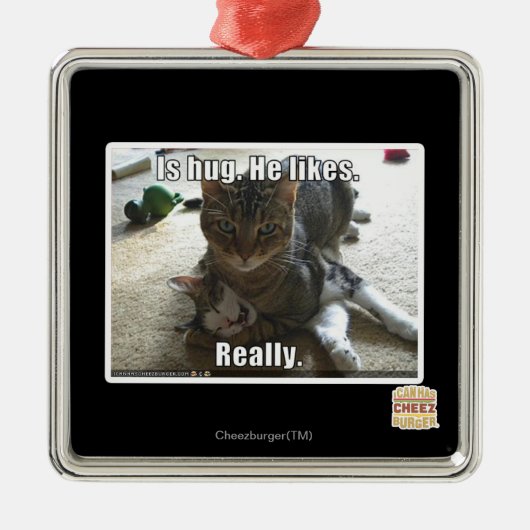 Is knuffel. Hij houdt van. Metalen Ornament (Voorkant)