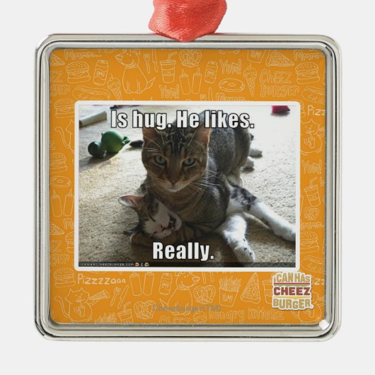 Is knuffel. Hij houdt van. Metalen Ornament (Voorkant)