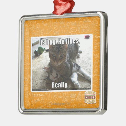 Is knuffel. Hij houdt van. Metalen Ornament (Links)