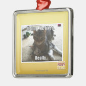 Is knuffel. Hij houdt van. Metalen Ornament (Links)