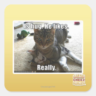 Is knuffel. Hij houdt van. Vierkante Sticker