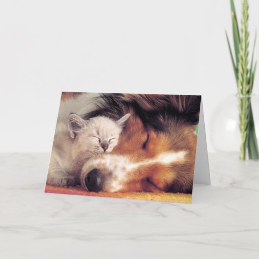 Is Liefde Niet Geweldig Kaart (Voorkant)