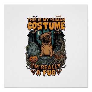 Is Menselijk Kostuum Pug Halloween Pompoen Grafste Perfect Poster