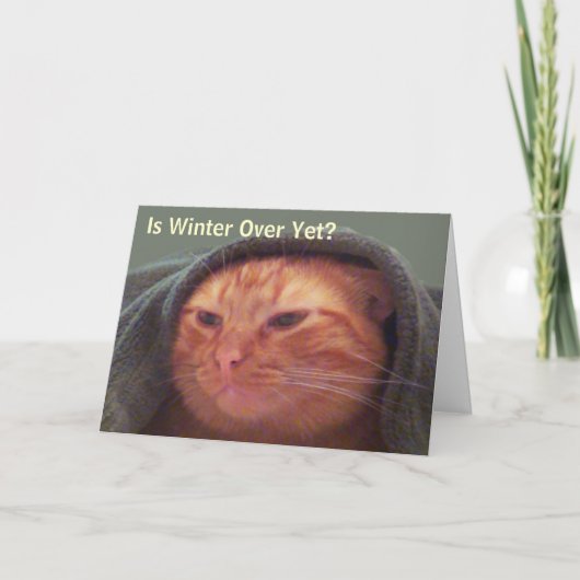 Is nog de Winter over? Het Wenskaart van de kat Feestdagen Kaart (Voorkant)