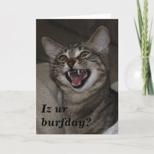 Is onze verjaardag? humoristische foto verjaardags kaart