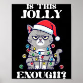 Is This Jolly Enough Tangled Christmas Cat  Poster (Voorkant)
