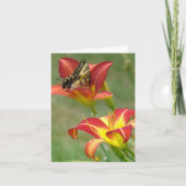 Is verder benieuwd kaart (Voorkant)