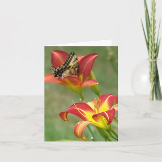 Is verder benieuwd kaart (Voorkant)