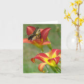 Is verder benieuwd kaart (Gele Bloem)