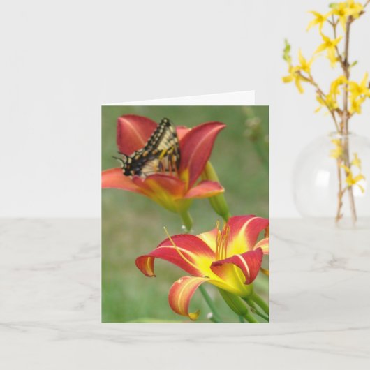 Is verder benieuwd kaart (Gele Bloem)