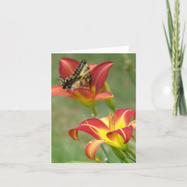 Is verder benieuwd kaart