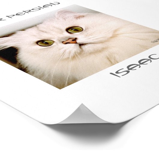 Isaac, een buitengewoon zilver perzisch poster (Hoek)