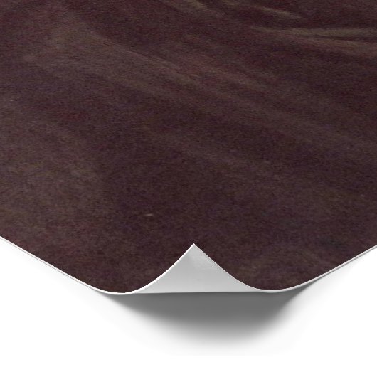 Isaac Newton Art Print (Hoek)