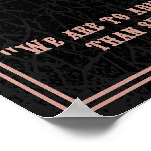 Isaac Newton - Causes Poster (Hoek)