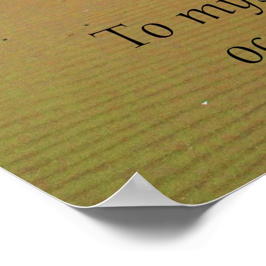 Isaac Newton ISPIRATIONAL QUOTATION Poster (Hoek)