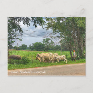 Isaan, Thaise platteland Briefkaart