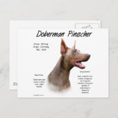 Isabella Doberman Geschiedenis Briefkaart (Voorkant / Achterkant)