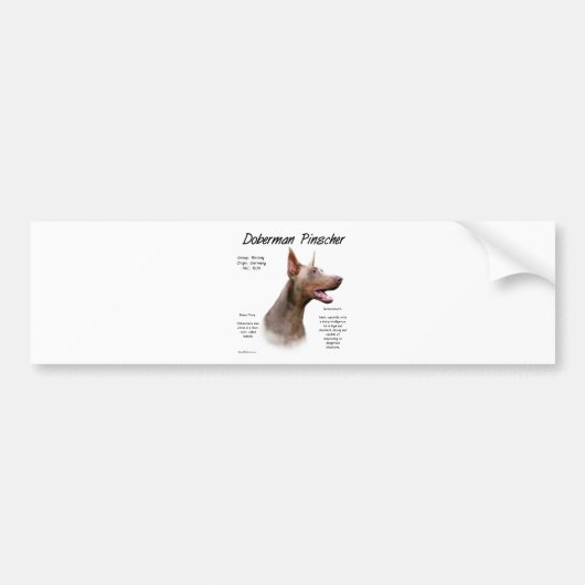 Isabella Doberman Geschiedenis Bumpersticker (Voorkant)