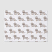 Isabella En Tan Lange Haren Dachshond Hond Patroon Tissuepapier (Voorkant)