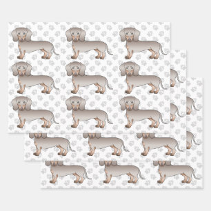 Isabella en Tan Smooth Coat Dachshund Dog Pattern Inpakpapier Vel