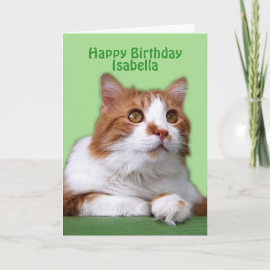 Isabella Happy Birthday Oranje en White Cat Kaart (Voorkant)