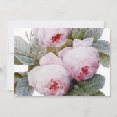 Isabella II, Elegant  Frans roos Save The Date (Achterkant)