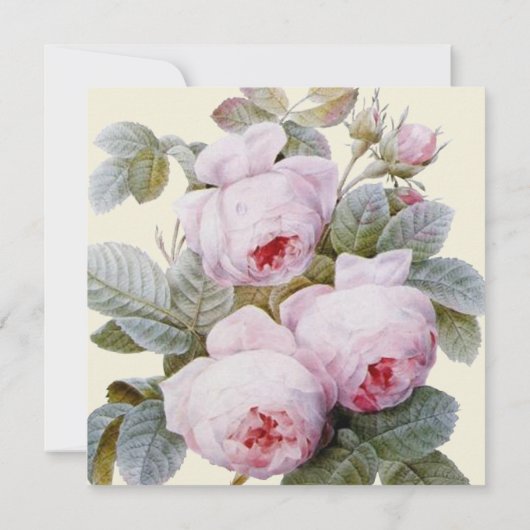 Isabella II Elegant  Franse Rozen (Achterkant)