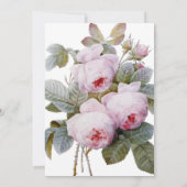 Isabella II, Franse Rozen Kaart (Achterkant)