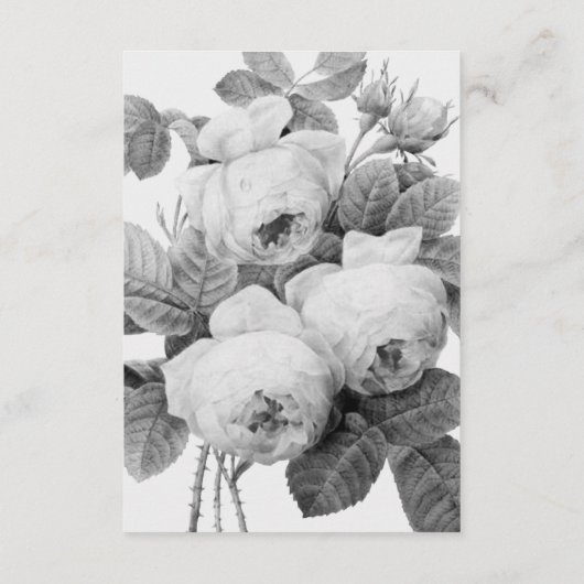 Isabella  Rozen Wedding Guest — Kaart details (Achterkant)