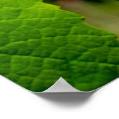 Isabelle Poster (Hoek)