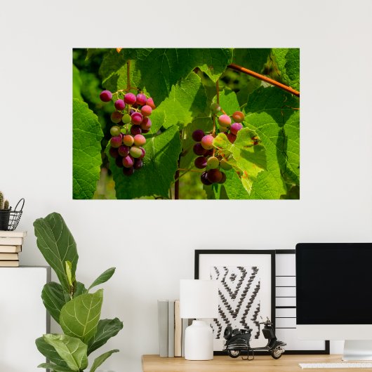 Isabelle Poster (Thuiskantoor)