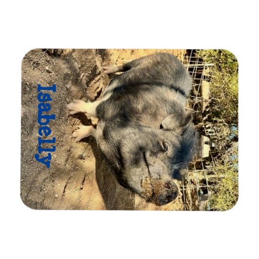 Isabelly Smirk Magnet Magneet (Horizontaal)