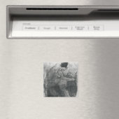 Isadora Duncan Magneet (Insitu (Vaatwasser))