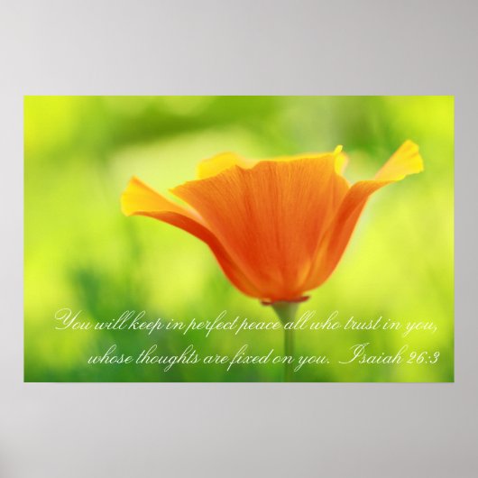 Isaiah 26:3, Oranje papaver Poster (Voorkant)