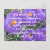 Isaiah 35:1-2 ~ The Crocus Briefkaart (Voorkant)